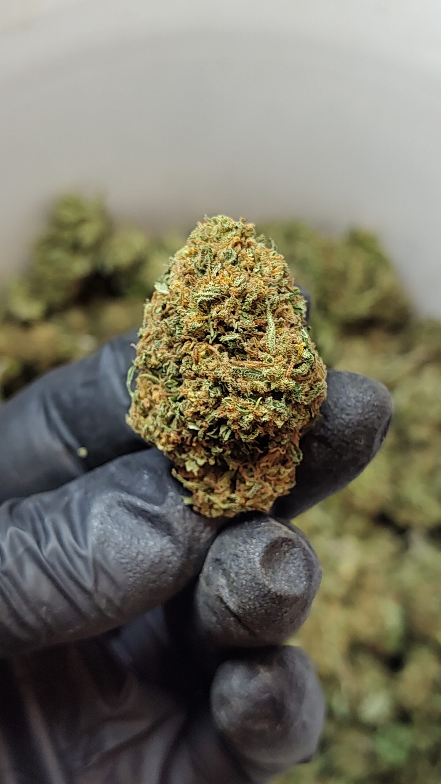 Fruit Joynt Mandarine Haze - immagine 7