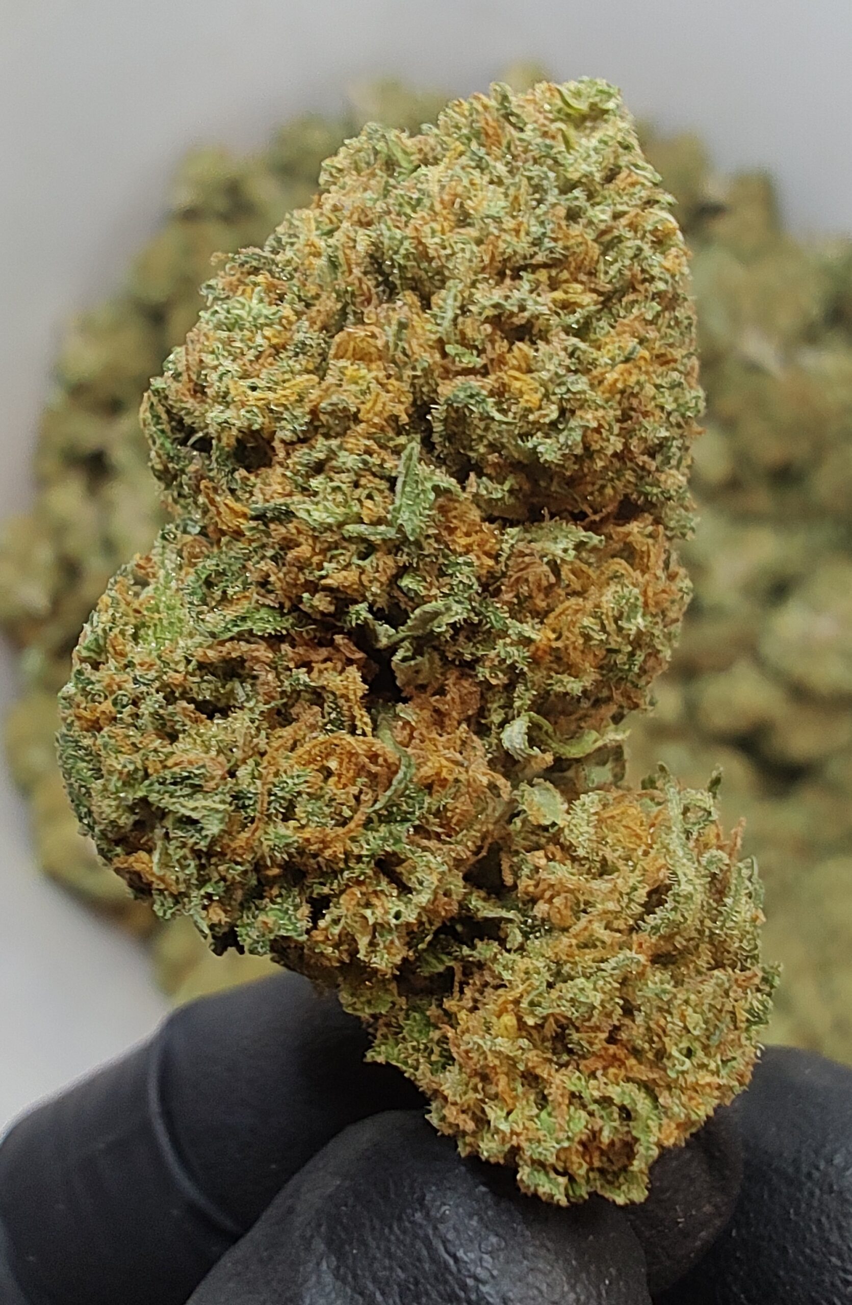 Fruit Joynt Mandarine Haze - immagine 5